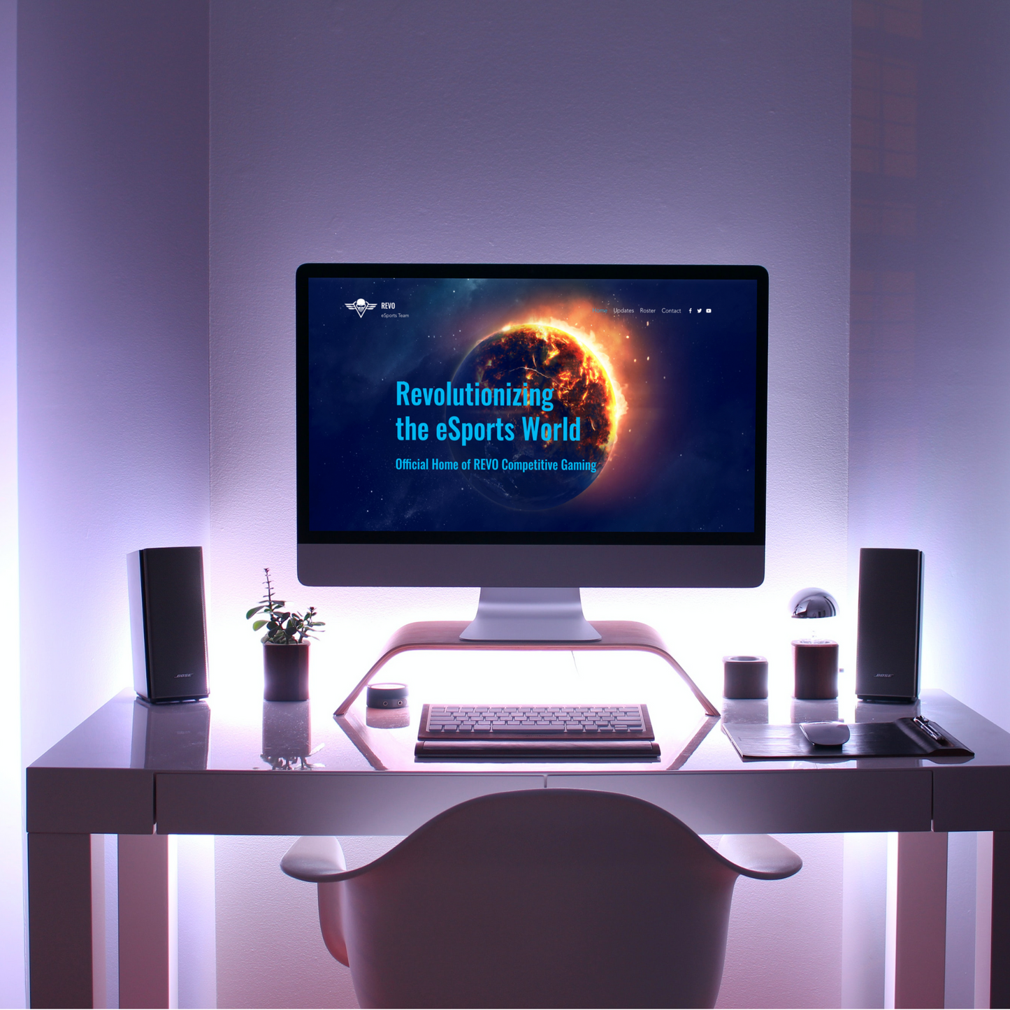 Shopify Website Design